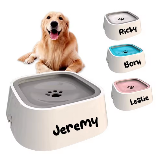 Custom Dog Drinking Water Bowl No Spill